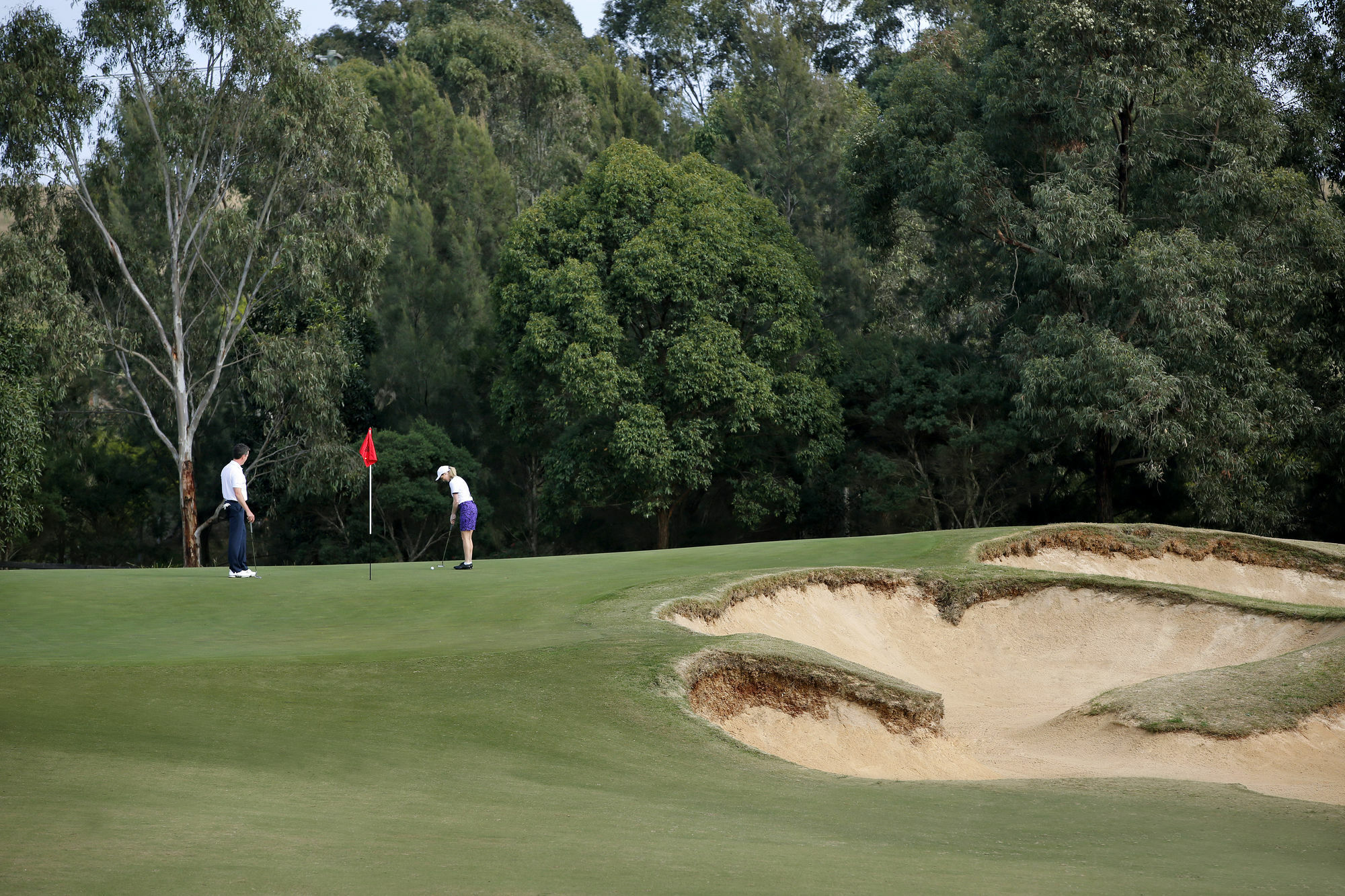 فندق شاتو إيلان آت ذا فينتدج هانتر فالي بوكولبن المظهر الخارجي الصورة Golfers on the green of the 12th hole at the 2006 PGA Championship
