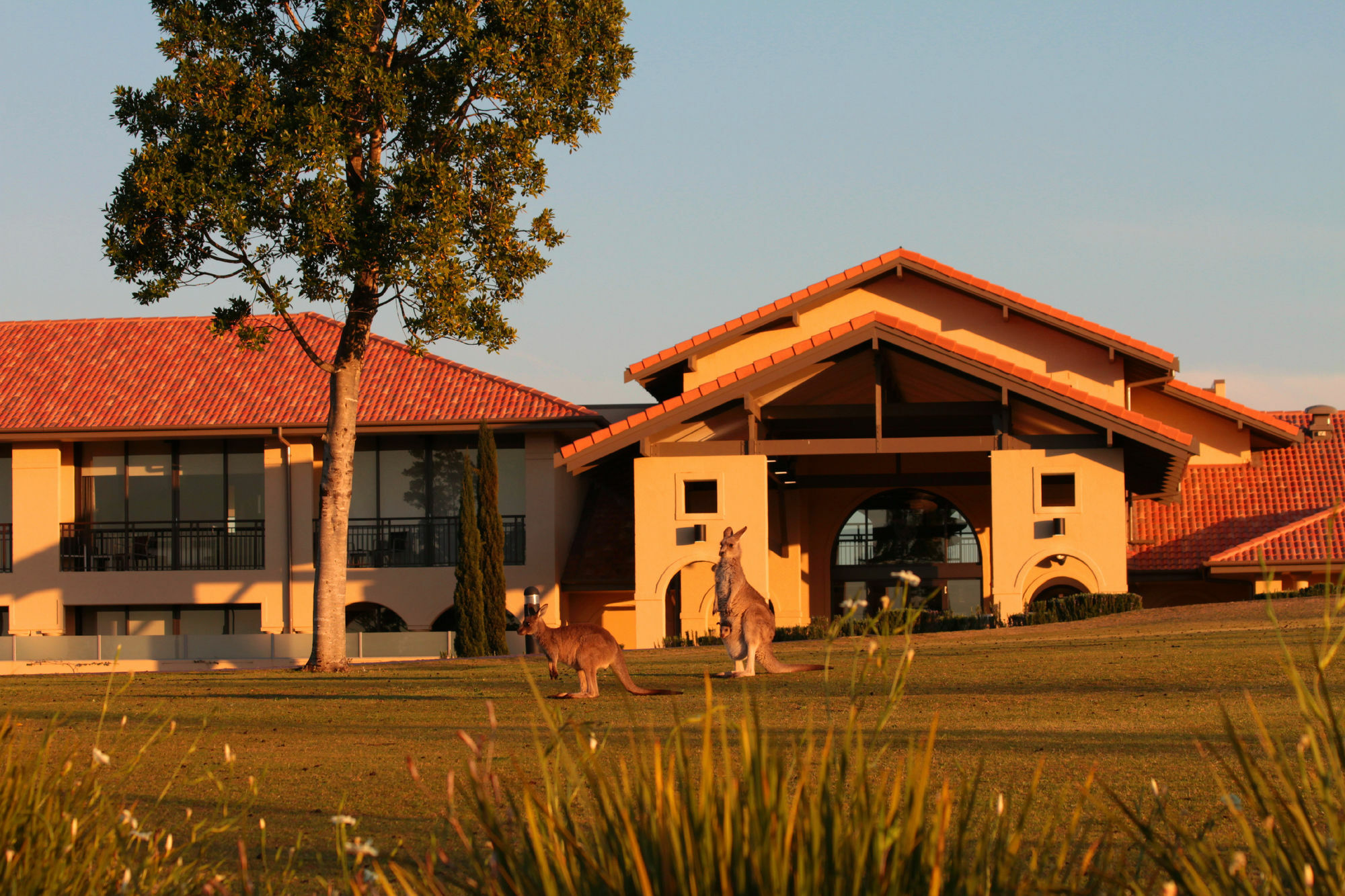فندق شاتو إيلان آت ذا فينتدج هانتر فالي بوكولبن المظهر الخارجي الصورة Clubhouse at the Sanctuary Golf Resort